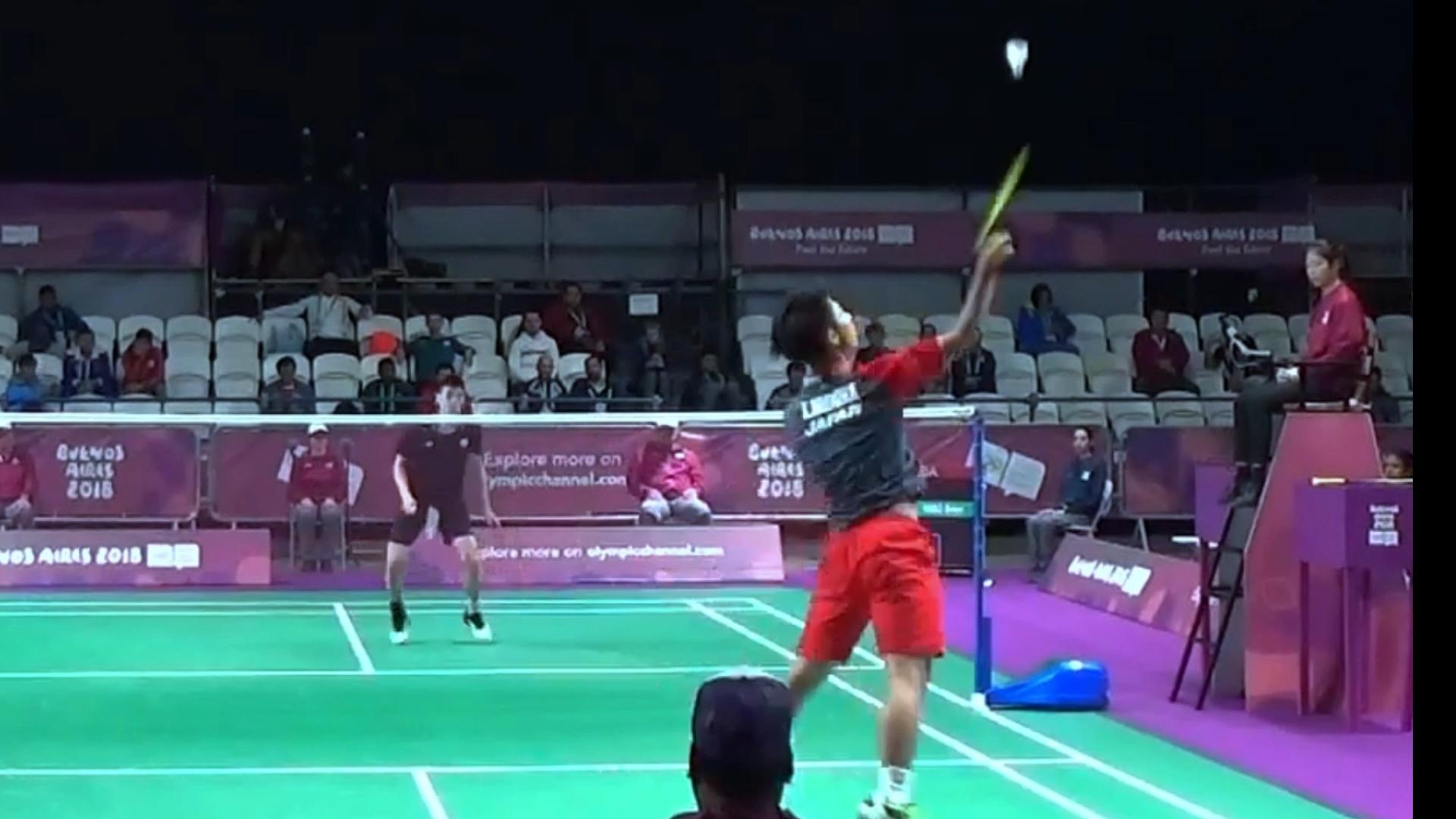 它所展现出 它所展现出